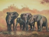 Aro-elephants