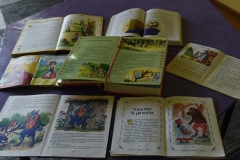 EF21FA3C-AD0B-4273-94B7-D3EC0D7B0DFB