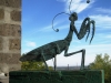 grasshopper_handson